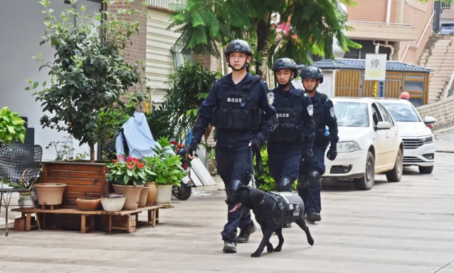 警犬“云妹” 一位特殊的战友! 警犬“云妹” 一位特殊的战友!
