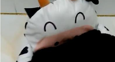 宠主给泰迪买了一个窝,结果它学会了新技能,泰迪:你猜我在哪? 宠主给泰迪买了一个窝,结果它学会了新技能,泰迪:你猜我在哪?