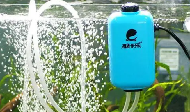 鱼缸增氧泵工作原理图 鱼缸增氧泵工作原理图