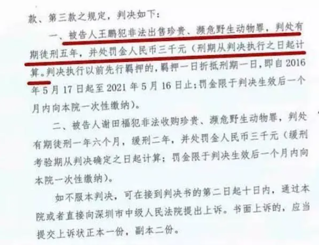 网购一只“会说话的鹦鹉”，福建一男子被判拘役3个月惹争议