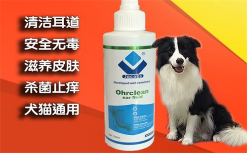 雅各仕