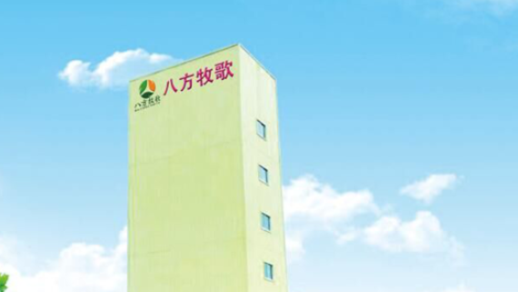 八方牧歌主要经营