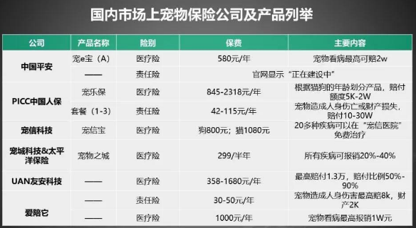宠物经济：一门千亿级的孤独生意