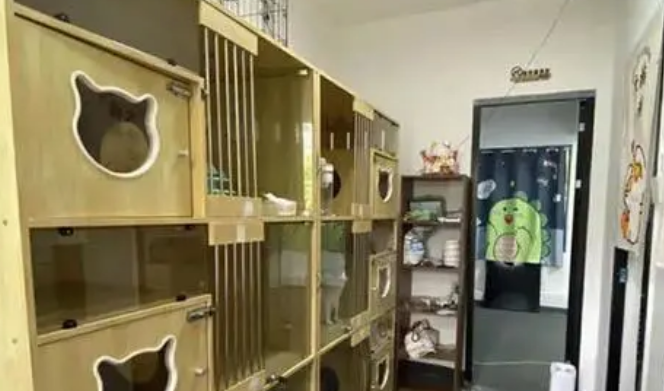 宠多多宠物店,轻松满足你的需求 宠多多宠物店,轻松满足你的需求