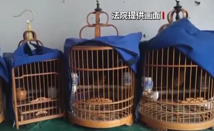 四男子非法猎售1263只画眉鸟，最高获刑五年半