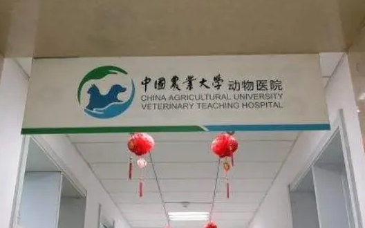 中国农业大学动物医院
