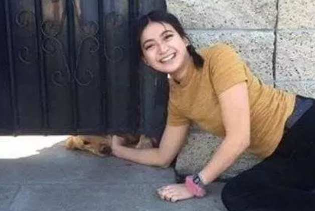 黄金猎犬每天塞门缝等“女朋友”放学 黄金猎犬每天塞门缝等“女朋友”放学