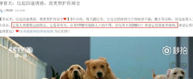 女子带导盲犬坐公交竟遭女乘客脚踹,司机怒怼:你下去! 女子带导盲犬坐公交竟遭女乘客脚踹,司机怒怼:你下去!
