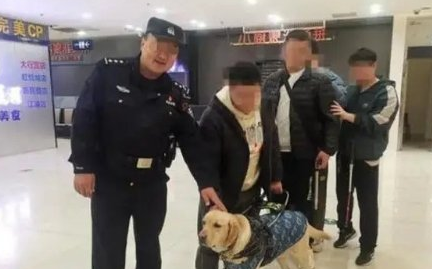 导盲犬带主人吃火锅迷路 网友:是导盲犬不是导航犬 导盲犬带主人吃火锅迷路 网友:是导盲犬不是导航犬