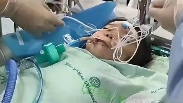 认怂了!“没人动得了”后续:狗主人被拘留9天罚3800,身份曝光 认怂了!“没人动得了”后续:狗主人被拘留9天罚3800,身份曝光