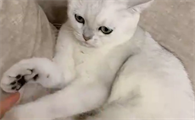 猫七七姑娘真实姓名