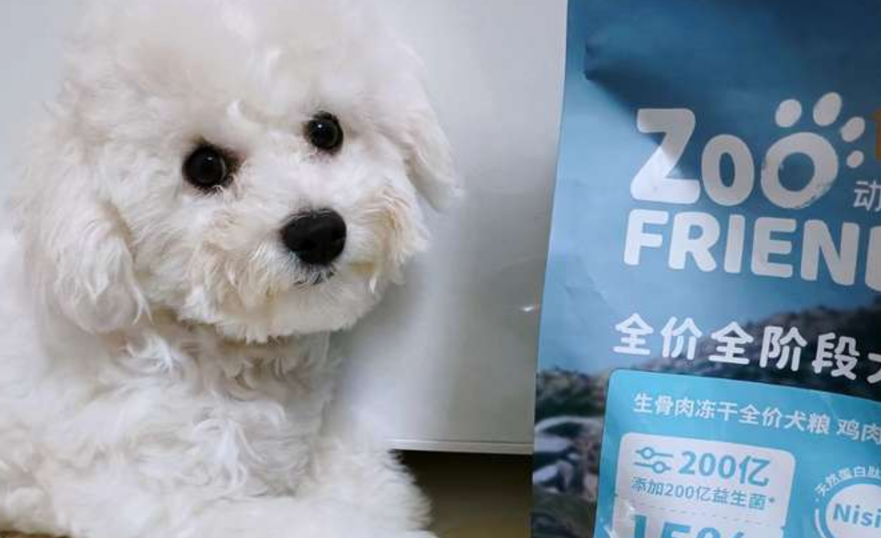 动物小镇狗粮哪个国家 动物小镇狗粮哪个国家