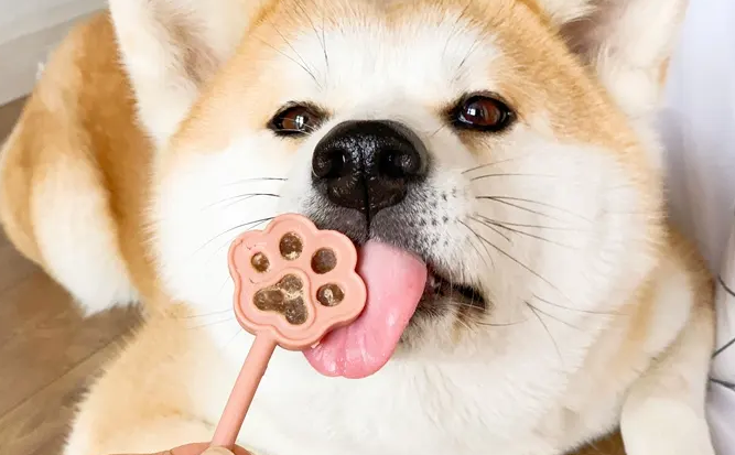 萌啃宠物零食：狗狗宠物零食如何挑选？
