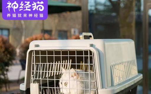 神经猫宠物用品是什么品牌? 神经猫宠物用品是什么品牌?