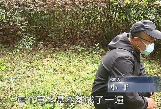 流浪狗“偷”快递叼走名表,快递小哥可以让喂狗人赔偿吗? 流浪狗“偷”快递叼走名表,快递小哥可以让喂狗人赔偿吗?