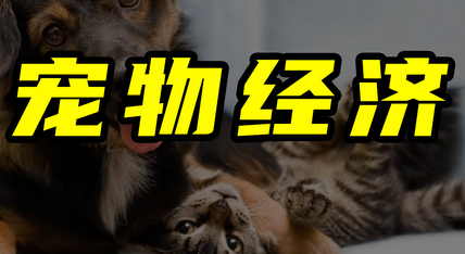 宠物经济高增长可期 优异市场表现亟需匹配规范化发展