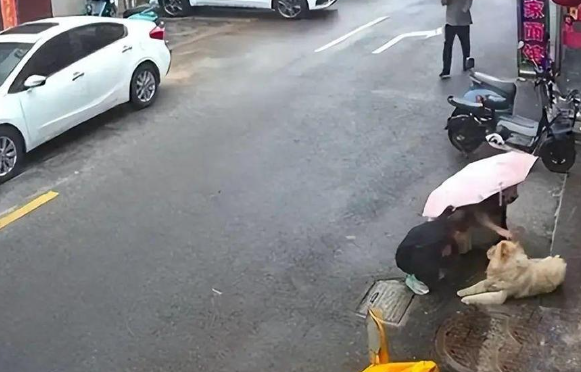 狗为什么总挑小孩来咬?如何有效避免被狗追咬? 狗为什么总挑小孩来咬?如何有效避免被狗追咬?