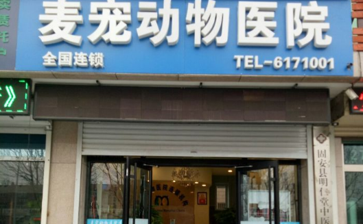 麦宠动物医院:为宠物的健康保驾护航 麦宠动物医院:为宠物的健康保驾护航