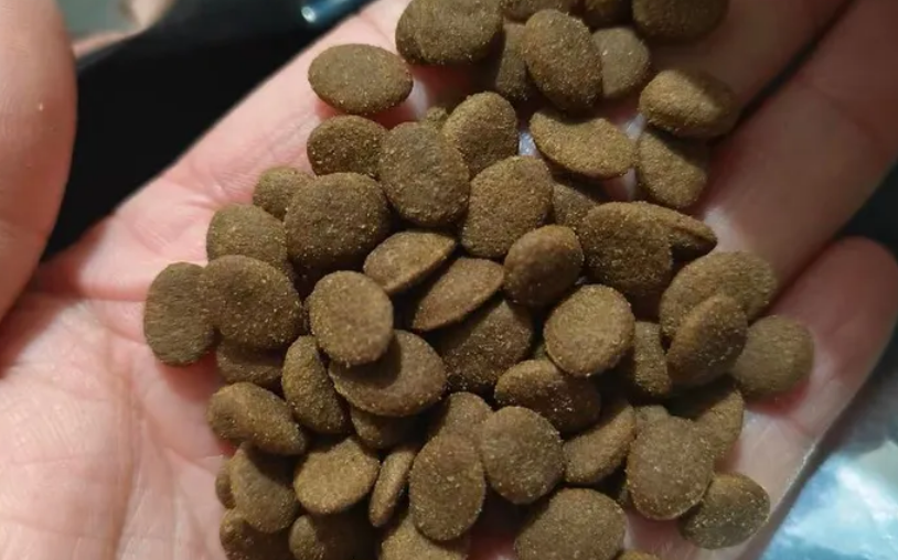 最宠猫粮是毒猫粮吗?能不能买? 最宠猫粮是毒猫粮吗?能不能买?