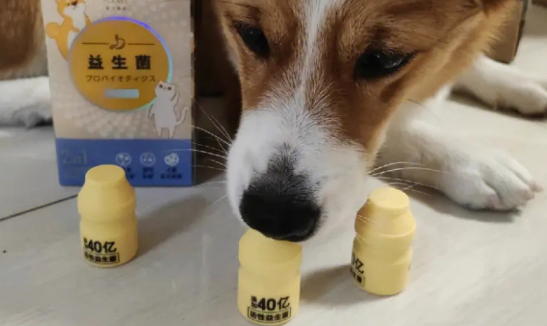 宠物益生菌的作用与功效
