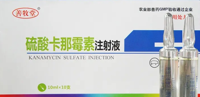 治疗气喘卡那霉素最佳配伍 治疗气喘卡那霉素最佳配伍