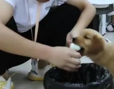 从狗嘴里抢鸡蛋？这是个残忍的人，铲运工：那是我的午餐
