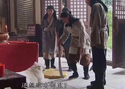 被TVB电视剧里面的哮天犬可爱晕了,这样的哮天犬能降妖除魔吗? 被TVB电视剧里面的哮天犬可爱晕了,这样的哮天犬能降妖除魔吗?