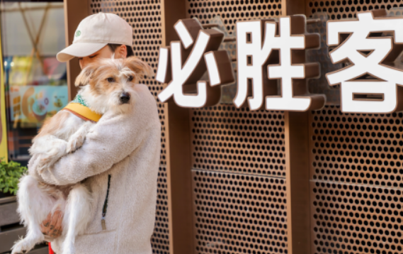 领养代替购买,必胜客关爱流浪动物在行动 领养代替购买,必胜客关爱流浪动物在行动