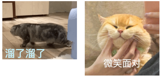 猫咪喜欢“四脚朝天”躺地上，不是跟你玩，而是在给你信号～