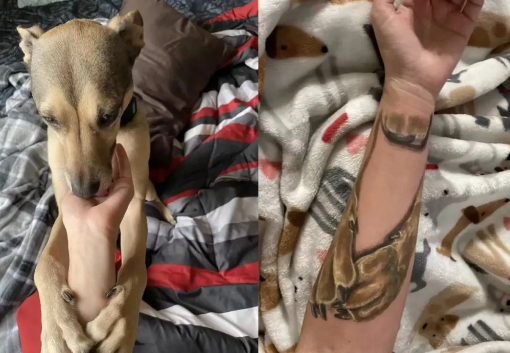 为纪念离世爱犬,妹子把它拥抱自己的样子,纹在了手臂上 为纪念离世爱犬,妹子把它拥抱自己的样子,纹在了手臂上