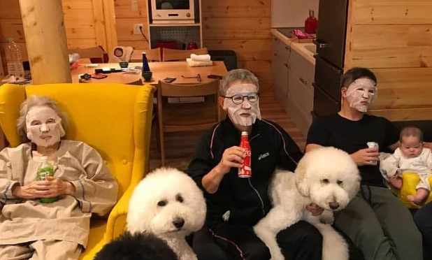 日本奶奶晒自己的晚年生活,养狗和溜娃的日常,看完被治愈了! 日本奶奶晒自己的晚年生活,养狗和溜娃的日常,看完被治愈了!