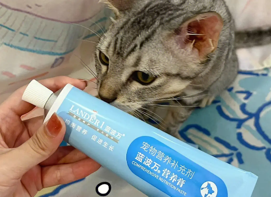 蓝波万营养膏,口感好,帮助增强免疫力! 蓝波万营养膏,口感好,帮助增强免疫力!