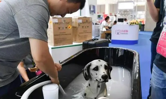 每个月一半工资花在狗身上,富养宠物值不值?网友吵翻 每个月一半工资花在狗身上,富养宠物值不值?网友吵翻