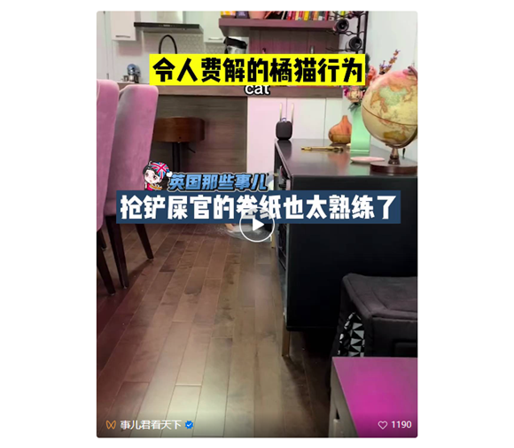 令人费解的橘猫行为，在铲屎官进厕所前抢走所有卷纸，也太熟练了！