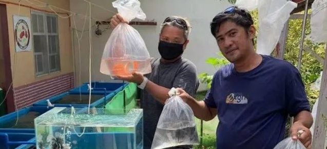 互联网无法颠覆水族行业的原因：高手，都是踩着鱼尸体过来的