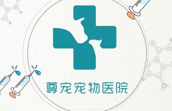 值得信赖的宠物医院——尊宠宠物医院