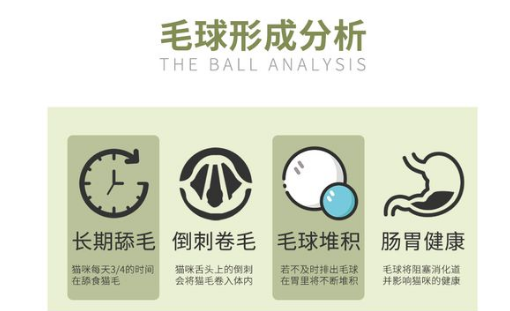 阿宠巴巴化毛膏：轻松解决猫咪毛球问题