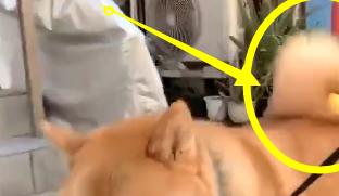 宠主发现柴犬新作用,出门还能带零食,网友:天生我“柴”必有用 宠主发现柴犬新作用,出门还能带零食,网友:天生我“柴”必有用