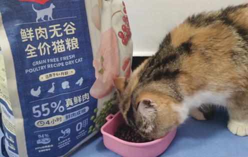 顽皮猫粮品牌如何，一文解析