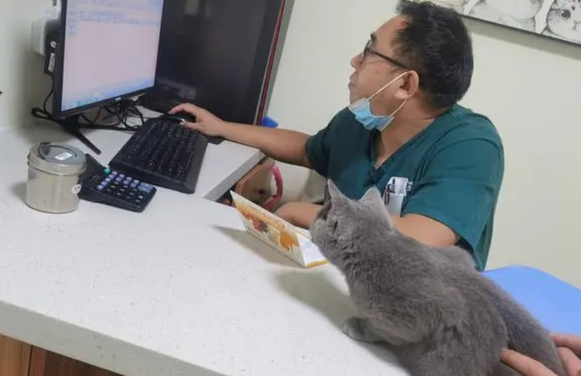 联宠动物医疗怎么样,了解一下 联宠动物医疗怎么样,了解一下
