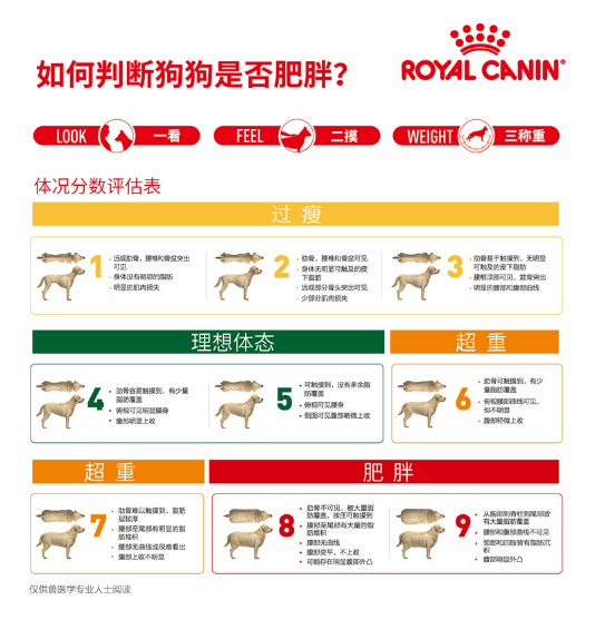 宠物体重管理:以科学预防维护宠物健康 宠物体重管理:以科学预防维护宠物健康