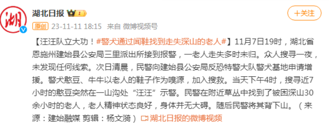汪汪队立大功！老人深山走失30小时被警犬找到