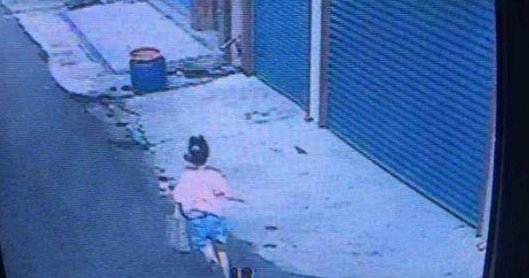 12岁女孩被土狗狂吠追90米,活活被吓死 ,狗主人赔180万 12岁女孩被土狗狂吠追90米,活活被吓死 ,狗主人赔180万