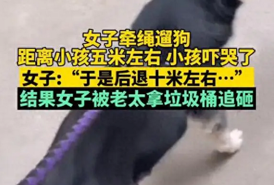 女子遛狗吓哭5米外小孩 老太拿着垃圾桶追砸