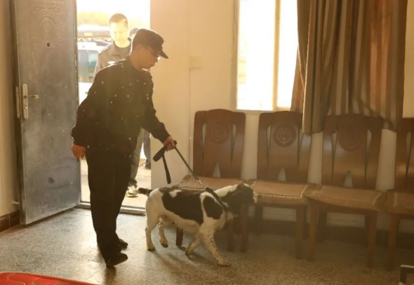 警犬“评职称”现场！来看西安现场报道！