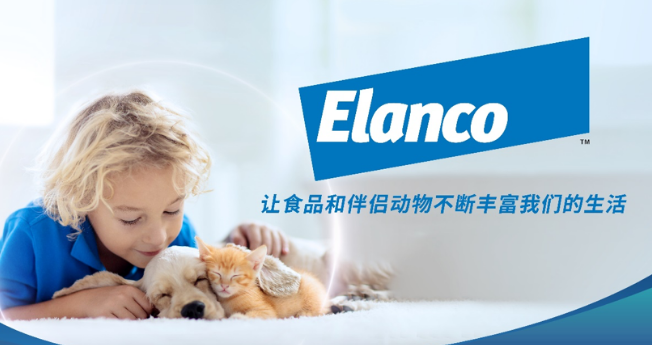 ima礼蓝动保战略发布重磅新品，宠物肾健康营养管理方案再升级