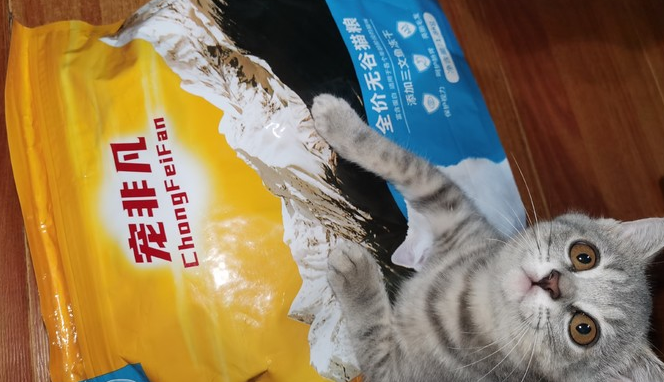 宠非凡猫粮：打造猫咪的专属美食