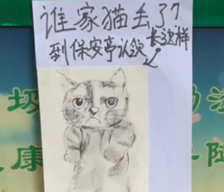 河北小区保安捡到一条猫,帮忙画猫寻主人,网友直呼:灵魂绘画!