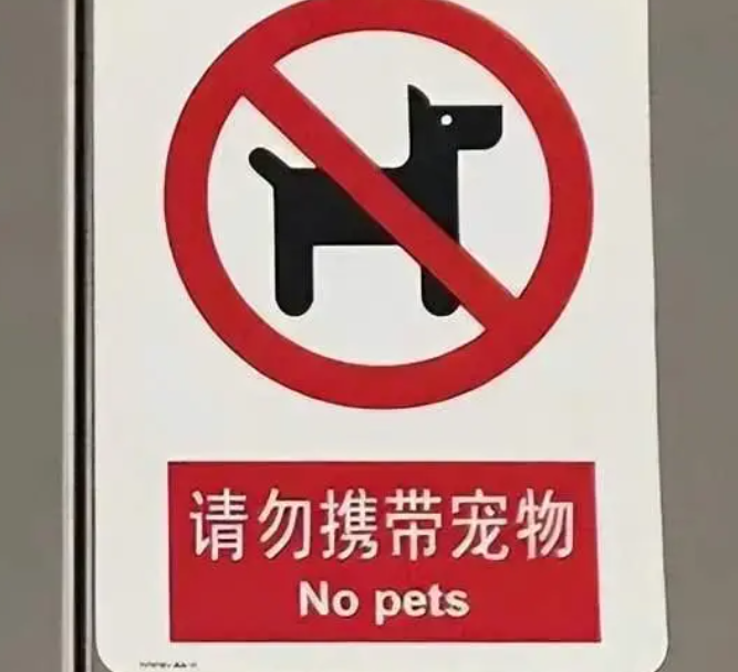 在地铁里满车厢抓鹦鹉的大爷，被当地通报！特别提醒
