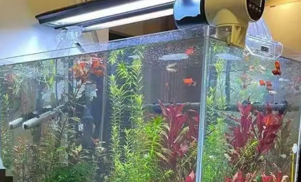 一吨水的水箱有多大 一吨水的水箱有多大
